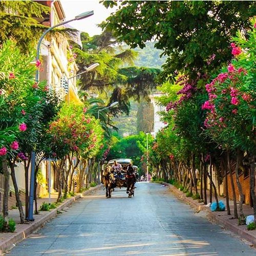 الأنشطة التي يمكن ممارستها داخل جزيرة الأميرات باسطنبول