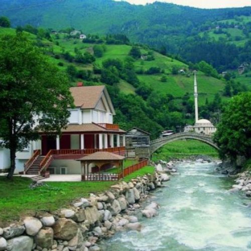 نتجع-حيدر-نبي-585x439