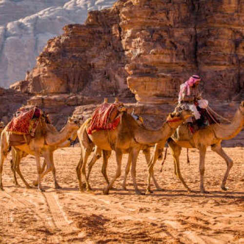 Petra, Jordan - November 20, 2018 :   On this site listed as a UNESCO World Heritage Site as a mixed natural and cultural site, there are varied desert landscapes composed of narrow gorges, arches, cliffs and caves. The landscapes are similar to the landscapes of the planet Mars, and the colors are rich and warm. Very popular with tourists who come to the desert to live an enriching experience and to take 4x4 rides, hikes, photo safaris, as well as to look at the stars and sleep in Bedoin tents. While walking in the desert, one meets bedoins and their dromedaries which move in this immense and magnificent desert.