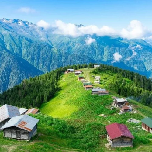 ريزا-و-ايدر