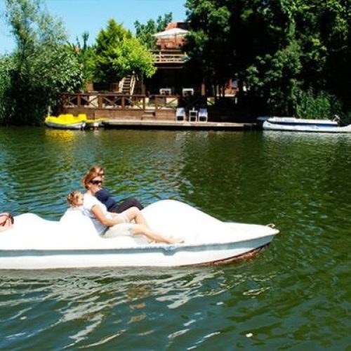 شيلا-واعوا-2-711x400