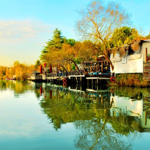 شيلا-واعوا-3