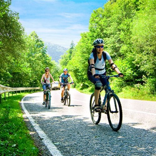 2BBZ8B5_istanbul-adalar-bisiklet-gezi-tur-rehber-doga-turjpg_1000x667