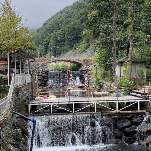 324326209_723780312474895_6605308666426143846_n