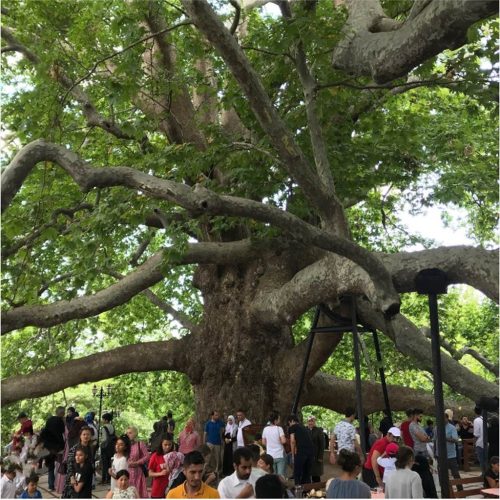 334904896_193934586701225_444070059138843245_n