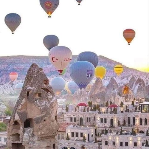 334909779_172970335576245_2398808291680680248_n