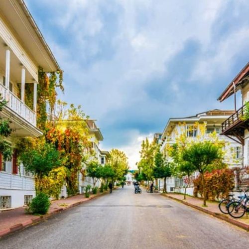 334913219_1859141774464956_4286886958080007968_n