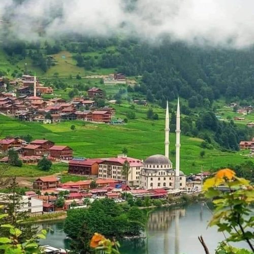 336038768_1802478286800375_5802769301378078412_n