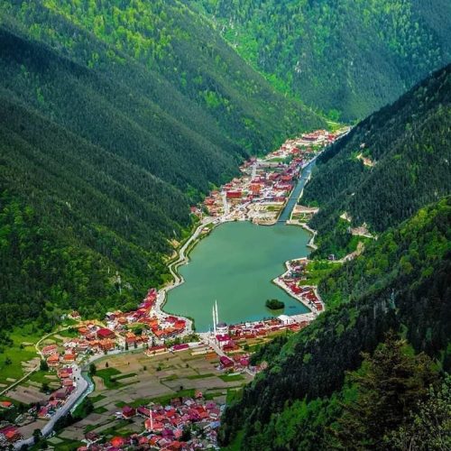 336466940_1067163437577101_8989156293061434488_n