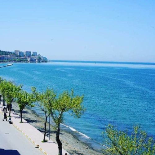 336613580_3390471307892457_4605497698610744012_n