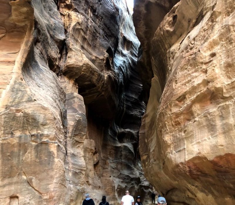 a2f3f9ac-78a7-435c-b867-0874bdb69dcb_sm