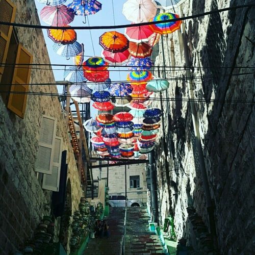 b50a2d147043ce953033a0aa1561dec1