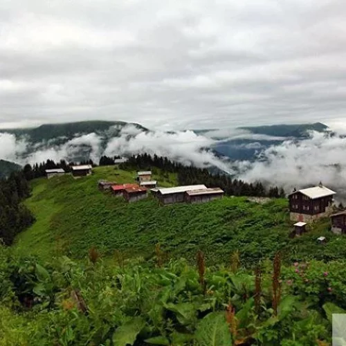 hidirnebi-yaylasi-trabzon-3.jpg