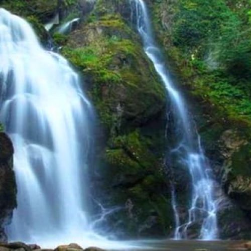 image_1612357066_BQKs5qirLNJ2WcLTHVnbUvQND2thqbOvf4bAy5nV