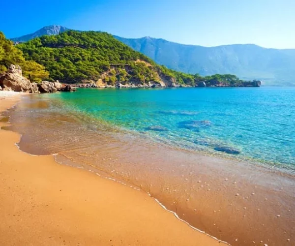 image_1612517350_9sGPmbtpYirUDChWvJVv5d1bmXskAQyyPJc1XX1L