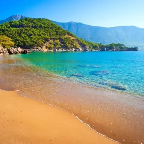 image_1612517350_9sGPmbtpYirUDChWvJVv5d1bmXskAQyyPJc1XX1L