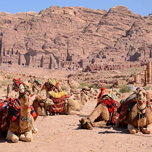 istockphoto-155372616-612x612