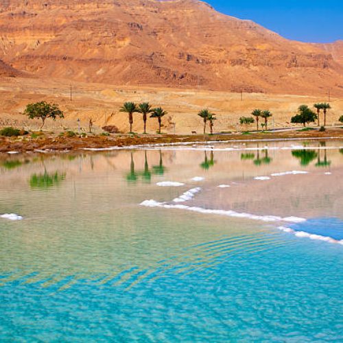 Dead Sea seashore with palm trees and mountains on background